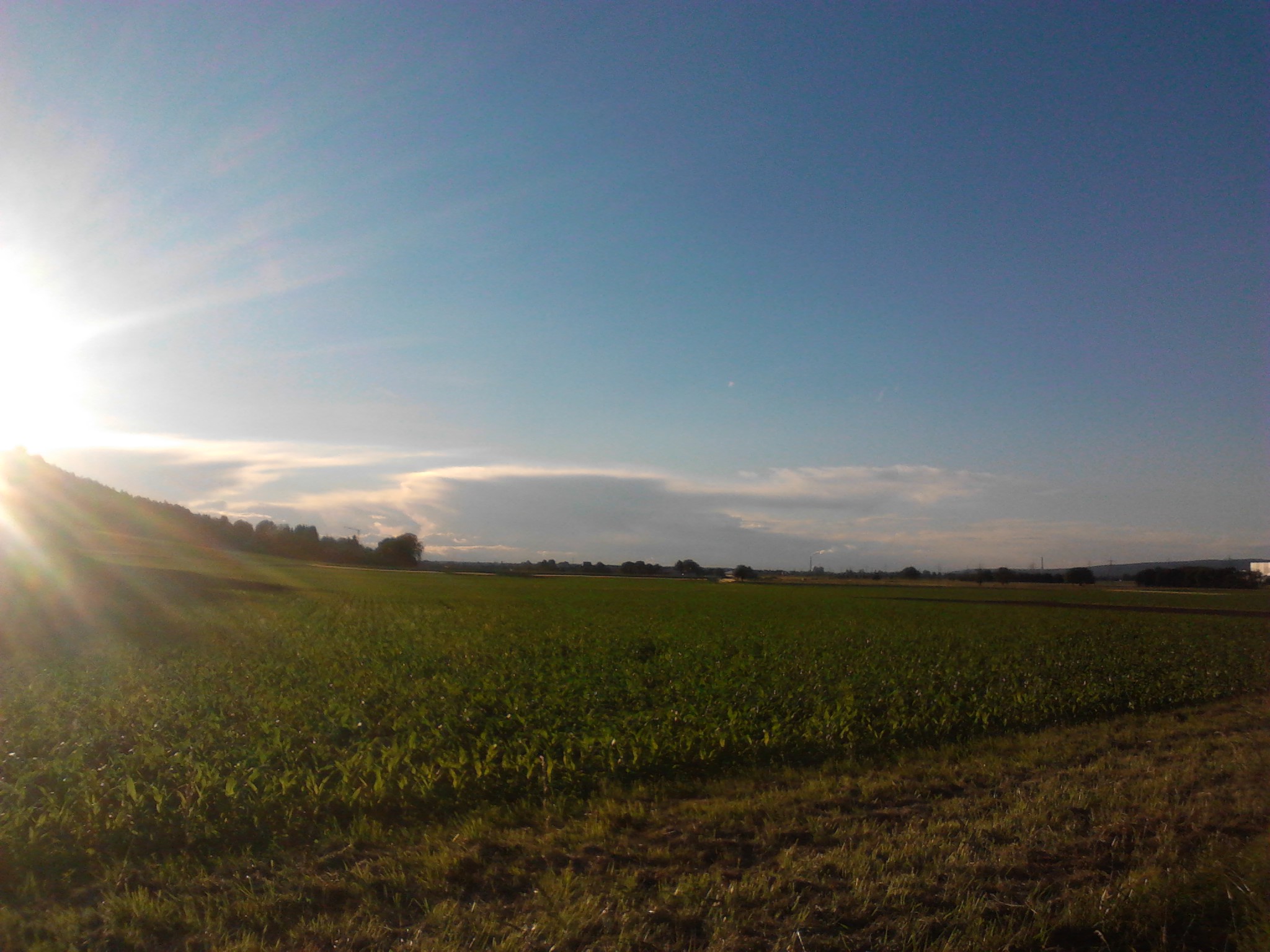 CT Rookie-Projekt 2016: 2. Koppeltraining Rad-Lauf