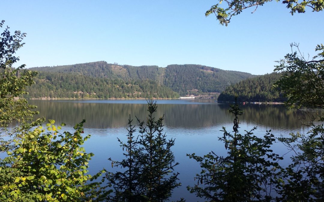 Rennradrunde Hohenwartestausee